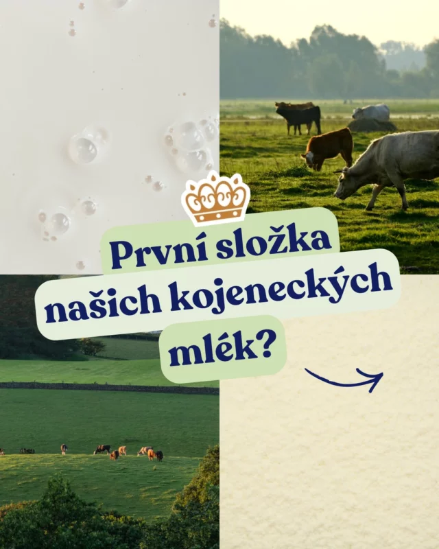 Plnotučné mléko z rodinných evropských farem od spokojených kraviček. 🐄 Právě to je základ našich BIO receptur. 🌿

Na celý proces výroby přísně dohlížíme – od výběru surovin až po finální produkt. Protože víme, že na kvalitě záleží. 🌟

Krémové plnotučné mléko je pro nás ingrediencí číslo jedna – když jde o to nejcennější, věříme přírodě. 🫶

🤱 Kojení je pro miminko tím nejlepším začátkem. Kojenecká výživa by měla být používána pouze na doporučení lékaře. Způsob použití a další informace na obalech. Potravina pro zvláštní výživu.